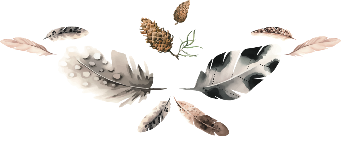 Oceans Wild logo trans feathers only